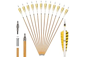 SERfawnCH 12 Flèches Carbone 31 Pouces avec Plumes Naturelles pour Tir à l'arc Adultes Recurve et Traditionnel