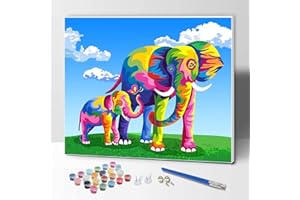 ifymei Paint by Numbers for Kids Ages 8-12, Arts and Crafts for Kids Ages 8-12, DIY Canvas Painting Kits for Girls and Boys - 12x16 Inch Framed Canvas Colorful Elephant