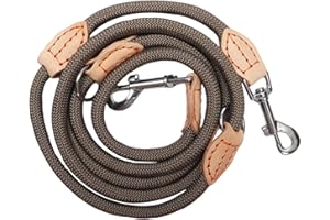 FANGCCC Hundeleine für Mittelgroße & Große Hunde, Multifunktionsleine Führleine für Hunde 2.1m Verstellbare mit 2 Karabiner, Robuste Nylon Dog Leash, Schleppleine Doppelleine für 2hunde (Beige, 1cm x 2.1m)
