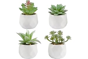 VINFUTUR 4 Pz Piante Artificiali Succulente Piante Finte Grasse con Vasi Decorazione da Interno e Esterno Casa Davanzale Cucina Scrivania