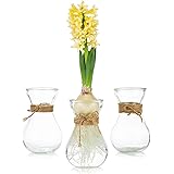 Floreros De Vidrio para Flores con Cuerda De Cordel 3 Piezas/Juego Arreglos Florales, Floreros De Vidrio, Floreros De Cristal