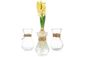 GLASSEAM Glass Vases for Flowers with Twine Rope 3 Pcs/Set Floral Arrangements, Flower Vase Glass, Crystal Bud Vases Creative for Wedding, Home, Kitchen, Garden Balcony Decoration