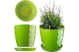 KADAX Plastikowa Doniczka na kwiaty, okrągła donica z podstawką, lekki i wytrzymały materiał, dekoracyjna donica na rośliny, zioła (14 cm, zielona)