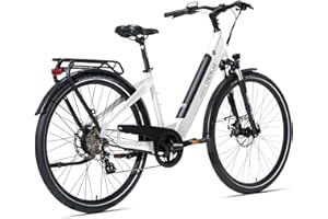 ‎DERUIZ DERUIZ E-Bike Quartz,28 Zoll Trekking Elektrofahrrad, E Bike Damen und Herren, Bafang 250W 40N.m Motor,48V13.4Ah 644Wh Akku für Lange Reichweite bis 150KM