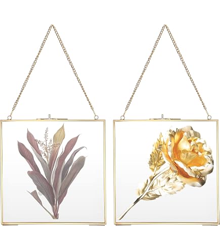 Cornice Flottante In Vetro 25x20 Cm Oro - Sospensione A Clip Per Foto, Fiori Pressati, Piante - Decorazione Parete