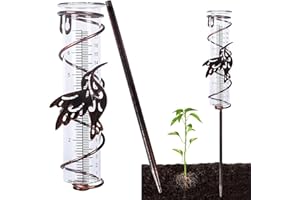 LSRVNM Pluviometre Exterieur Jardin, Pluviomètres en Verre avec Piquet en Métal, Pluviomètre Décoration en Fer Forgé, Pluviomètre Décoratif pour Jardin, Cour, Extérieure (Colibri)