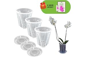 JARDEN® Lot de 3 Pots pour Orchidées en Plastique Rigide Transparent Diamètre 14 cm, Vases avec Trous de Drainage et Soucoupe, Accessoire de Culture de Plantes et Fleurs Intérieures et Extérieures