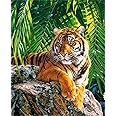 Meecaa Paint by Numbers Tiger Animal Forest Kit for Adults Beginner DIY Oil Painting 16x20 inch (Tiger, No Frame)