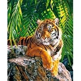 Meecaa Paint by Numbers - Kit per pittura a olio per adulti e principianti, 40,6 x 50,8 cm (liquore, incorniciato