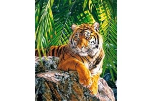 Meecaa Paint by Numbers Tiger Animal Forest Kit for Adults Beginner DIY Oil Painting 16x20 inch (Tiger, Framed)