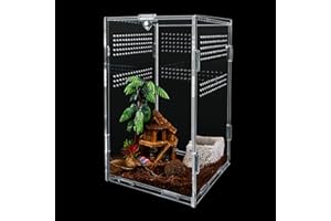 MINISOISO Caja de Terrario para Reptiles,Caja de Alimentación de Insectos,12x12x20cm Reptil acrílico Transparente Terrarios para Araña,Rana,Escorpión,Caracol,Lagarto