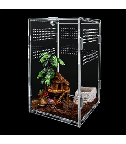 Terrario In Acrilico AIICIOO Per Rettili 20x15x35 Cm | Portatile, Trasparente | Per Draghi Barbuti, Ragni, Scorpioni - Foto 3