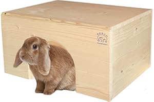 RESCH HEIMTIERBEDARF Resch Numéro 13 Maison à Toit Plat pour Lapin/Bois Massif d’épicéa, Non traité/Dotée d’Une entrée Extra Large/S‘adapte Aussi Parfaitement aux Lapins de Plus Grande Taille