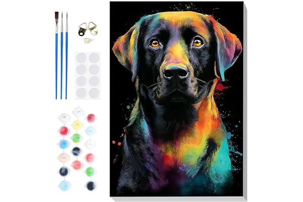 Lxmsja Måla efter siffror för vuxna, Inramad Färgglad Abstrakt Hund Labrador Måla efter nummer Kit, DIY Akrylmålning Hem Väggdekor, 20x30cm