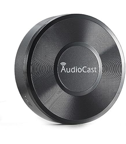 Google Chromecast Audio black glossy J42R-UXGA : Amazon.nl
