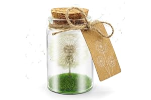 pangdapengpeng Vero Dente di Leone in Un Barattolo, Filler Desiderio in Vetro, Conservato in Modo Permanente Dente di Leone Stabilizzata per Compleanno, Matrimonio, Festa della Mamma (Bianco)