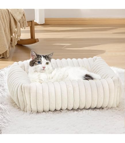 FUKUMARU Kattenbank, corduroy gezellig kattenbed voor binnenkatten met afneembare wasbare hoes, ondersteunende anti-slip hondenbedden voor kleine honden, schattig, 68,6 cm, medium, crème