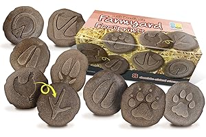 Yellow Door Biganift Let's Investigate Stein-Set mit Bauernhof-Fußabdrücken