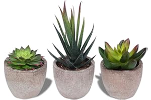 HAUSPROFI Zestaw 3 sztucznych sukulentów z doniczkami, do domu, na balkon, do biura, dekoracja