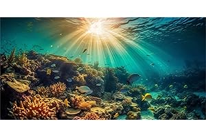 MIRRORANG 180x61cm Thème sous-Marin Aquarium Fond d'aquarium Soleil récif de Corail Monde sous-Marin Aquarium Affiche Toile de Fond