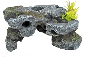 Amtra Wave Japan Roccia 1