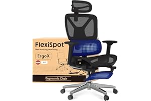 FLEXISPOT ErgoX Silla de Oficina Ergonómica con Soporte Lumbar, Respaldo 5D, Reposabrazos 3D, Reposapiés Retráctil, Cojín Transpirable, Inclinación 135°, Escritorio Ajustable Silla de Escritorio Negro