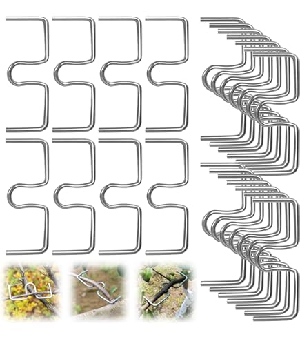 YDHfdc 20 Pièces Epandeur De Branches 10cm Extracteur De Branche D'arbre En Forme De M Branche Outil De Pliage En Métal Support Pour Branches De Fruits