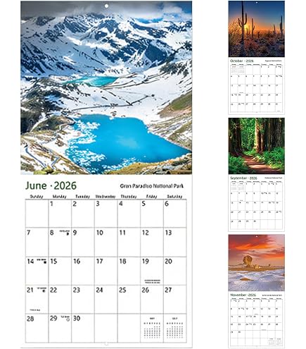 Calendrier De Bureau 2026 Catalan - Janvier à Décembre 2026 + Sept-Déc 2025 | Thème Chats | Spirale Métal