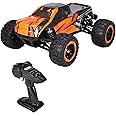 GoolRC 16889A Pro RC Cars, 1:16 Scale Remote Control Car, 4WD 45KM/H High Speed Brushless Motor RC Truck, 2.4GHz All Terrains Off-Road Electric Toy Vehicle for Kids and Adults
