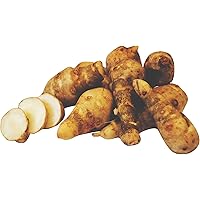 Topinambur 1kg Sorte: Gute Gelbe winterhart frische Topinamburknollen schmecken leicht süßlich-nussig Knollen zum…