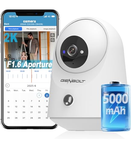 Somfy 1870469 bewakingscamera IP-beveiligingscamera Binnen Doos - Smart Somfy 1870469 bewakingscamera IP-beveiligingscamera Binnen Doos - Smart