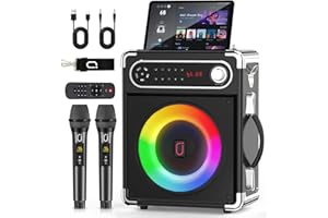 JYX Casse karaoke con 2 microfoni wireless, Altoparlante portatile Bluetooth per Casse karaoke completo con supporto per controllo bassi/alti TF/USB, AUX IN, FM, REC