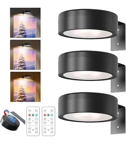 LIAVOP 3 PCS Lampe Tableau LED Sans Fil Rechargeable Avec Télécommande - Applique Murale Adhésive Pour Éclairage Tableau, Placard Et Bibliothèque