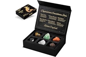 Aovila Capricorne Cadeau d'anniversaire, Zodiaque Pierres de Naissance Ensemble Cadeau Astrologie Cadeau Noël Cadeau de Fête des Mères et La Saint-Valentin