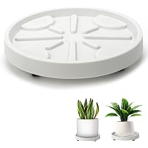 Ronde Plantenrollade – 22 Cm, Met 4 Zwenkwielen, Draagkracht 75 Kg – Ideaal Voor Zware Potplanten Binnen En Buiten