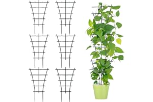 AONAYO Lot de 6 tuteurs pour plantes d'intérieur - Durable - Résistant à la corrosion - Support pour plantes d'intérieur - Fleurs - Vignes - Forme d'éventail