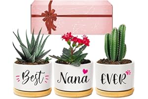 Giftasy Nana Gifts, Nana Christmas Birthday Gifts, Best Nana Ever Succulent Pots Gifts for Nana from Grandchildren, Unique Garden Gift Ideas for Nana on Christmas Birthday Mother's Day