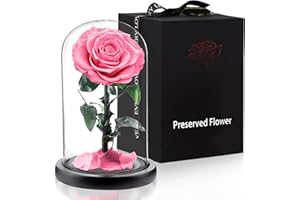 APKOL Rosa Eterna Bajo una Cúpula de Cristal, Rosa Eterna Natural Preservada, Flor Eterna, San Valentin Regalos Mujer, Regalos para Madres,Regalo Novia,Regalos para Mujer Navidad,Rosa