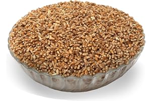 LanDixx Bio-Weizen 25kg - Landweizen aus dem Werra-Meißner Kreis - Aus kontrolliert biologischem Anbau