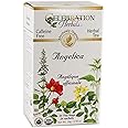 CELEBRATION HERBALS Angelica Root Organic 24 Bag, 0.02 Pound