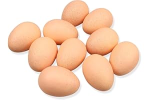 Lorigun 10pcs Artificial Egg Fake Food Faux Kitchen Decor Theatre Prop
