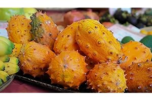 GROW YOUR SECRET GARDEN Kiwano Seeds (Cucumis metuliferus) Jelly Melon - Feast for Your Taste Buds:)