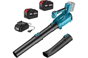 IERAKOR Souffleur Batterie 21V, Souffleur de Feuilles avec 2 x 4,5Ah Batteries et Charge, 5 Vitesse & Turbo Mode, 360km/h, 600m³/h, Moteur sans Balais, Souffleur de Feuilles sans Fil pour Poussière et Neige
