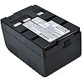 VINTRONS Battery for Panasonic VW-VBS20E, 4.8V, 2400mAh, Ni-MH