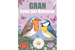Gran Color por Números: Libro de colorear por números para adultos: Arteterapia para divertirse y aliviar el estrés