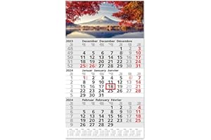 TIMR Calendrier annuel 2024 3 mois avec plinthes japonaises 30 x 53 cm Multilingue D/GB/F Planificateur annuel avec curseur et œillet de suspension simple et élégant I tr_210