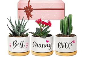 Giftasy Granny Gifts, Granny Christmas Birthday Gifts, Best Granny Ever Succulent Pots Gifts for Granny from Grandchildren, Unique Garden Gift Ideas for Granny on Birthday Christmas Mothers Day