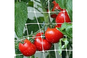 MAKA CHANGE YOUR LIFE QUALITY Rete Rampicanti Orto Bianca Supporto Fiori Piante che Crescono Verticali Rete PVC A Maglia Larga 14x16cm ideale Coltivazione Pomodori Piselli Fagioli Cetrioli Impianto Interno Esterno (1x50 metri)