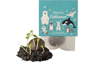 IDEENVERLAG HAMBURG 10x "Polartiere" Winter Samenbomben Kindergeburtstag / treiben aus bei Kälte! / Polartiere Mitgebsel Polartieregeburtstag Geschenke Kindergeburtstag Mitgebsel Kindergeburtstag Polartiere Kleinigkeit
