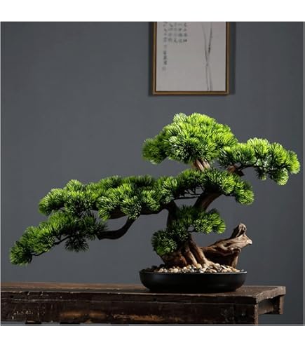 Artificial Fake Bonsai Tree For Office Desk, Potted Japanese Pine (10 X 9 In - View #2